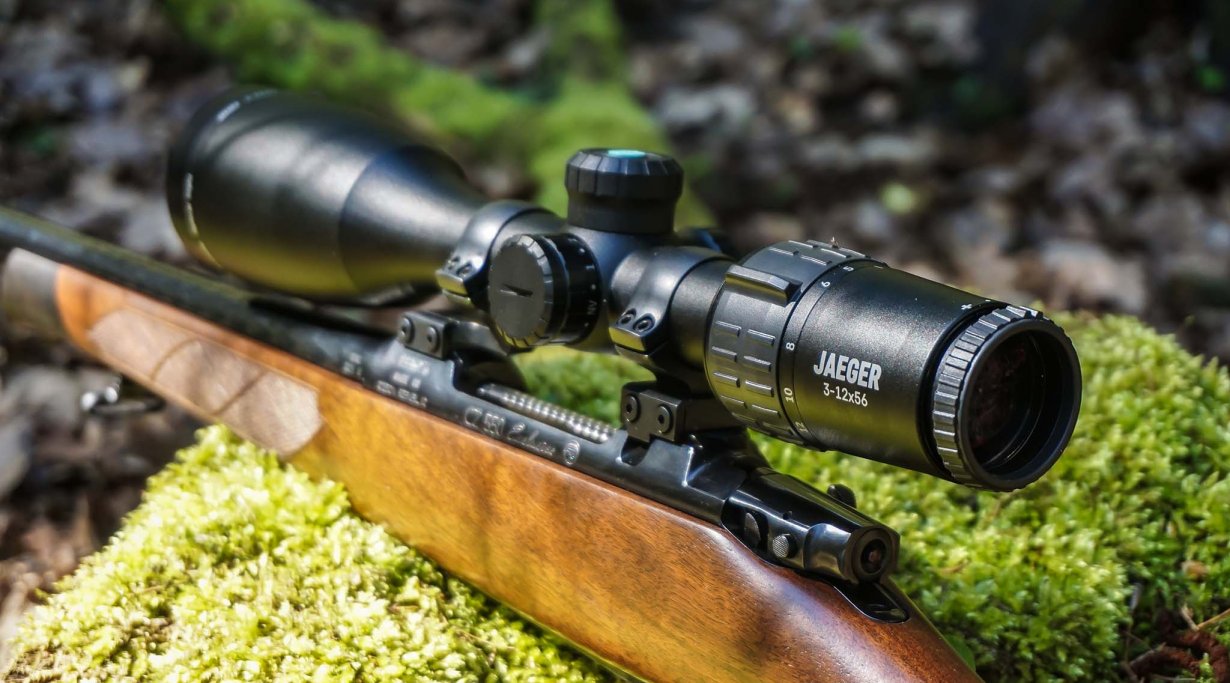 riflescope and carbine