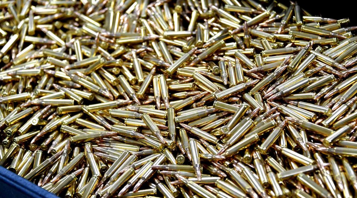 SIG Sauer ammunitions in .223