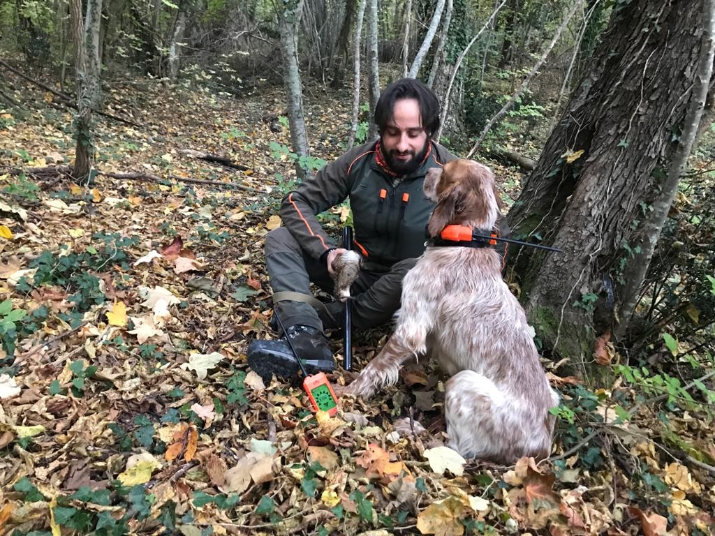 zamberlan: Woodcock hunting with Zamberlan Aspen GTX boots