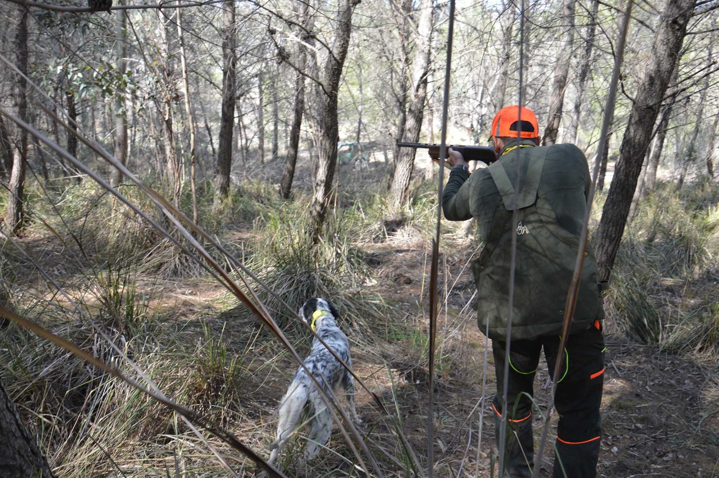Hunter with a dog in the woods.