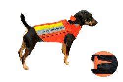 BS Planet, electronics for hunters High-viz protective waistcoat for dogs from BS Planet