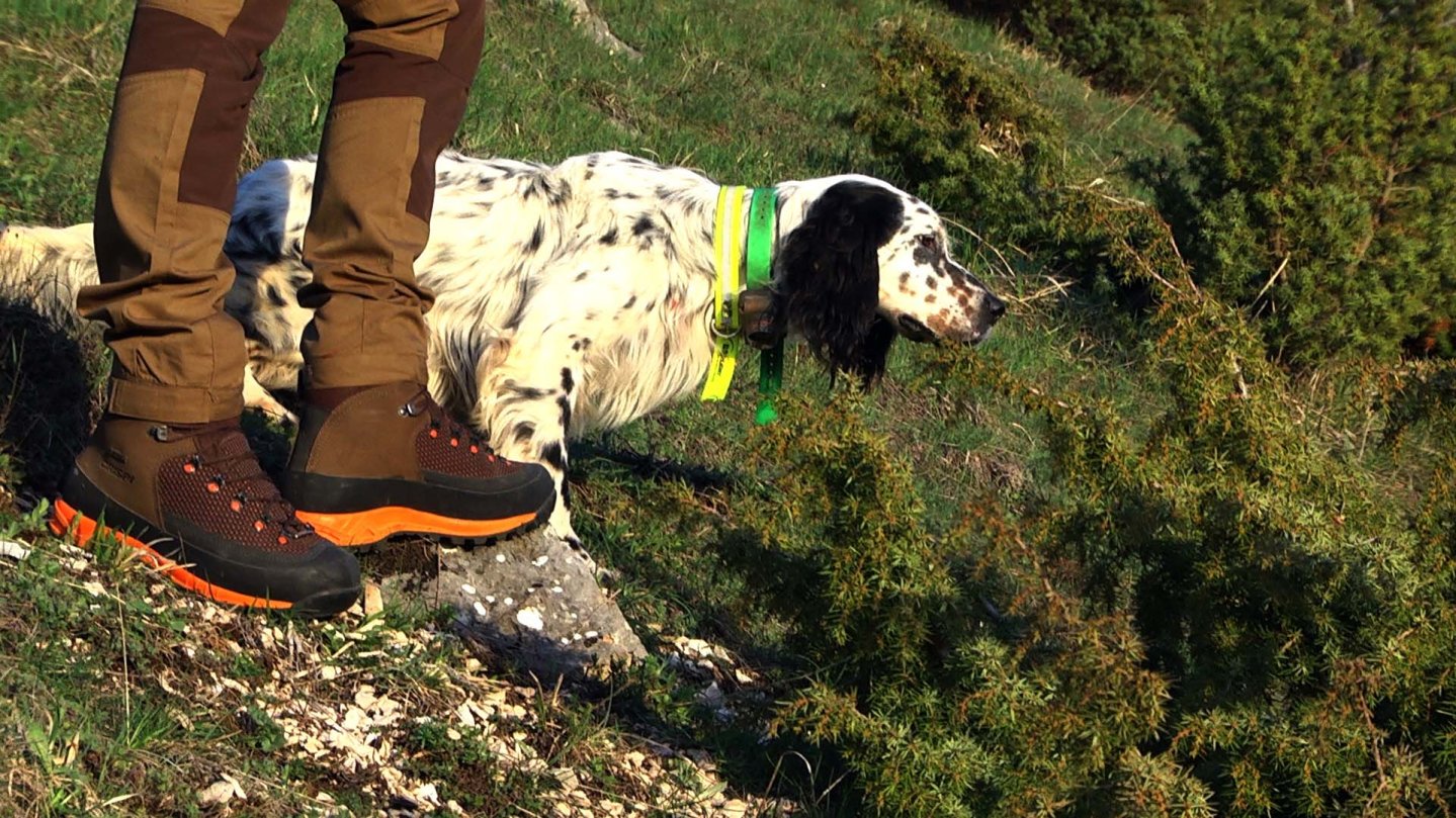 Crispi Track: high visibility hunting boots Scarponi da caccia Crispi Track GTX®