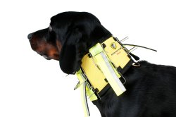 Dogtech Protector Neck Dogtech Protector Neck