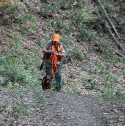 Hunting hoofed game: Riserva accessories for trackers A hunter with a check cord