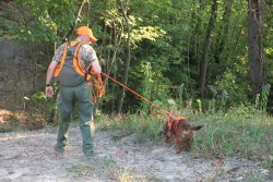 Hunting hoofed game: Riserva accessories for trackers The Riserva Cordura dog harness