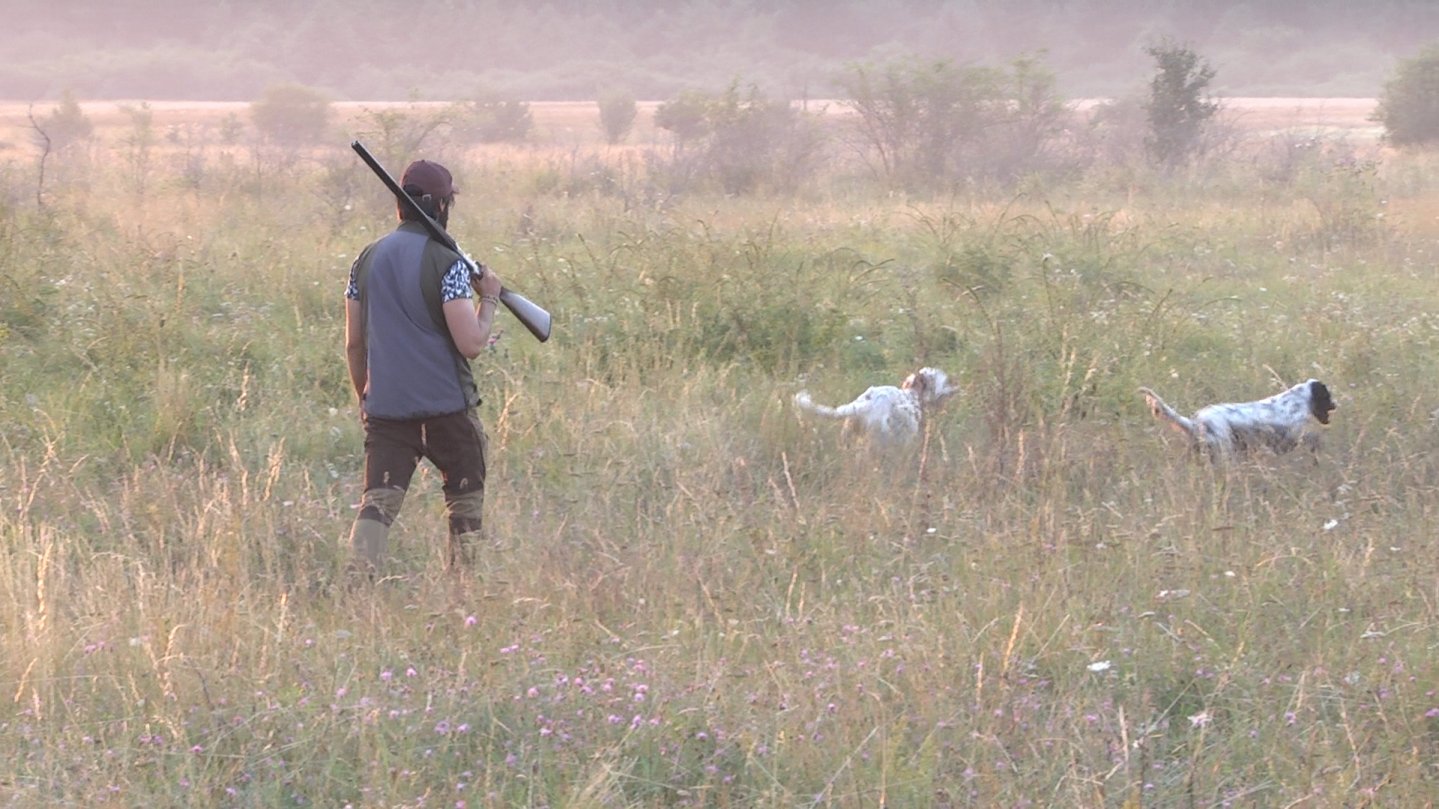 Hunting with Forcetek Drytek A hunter with his dogs.