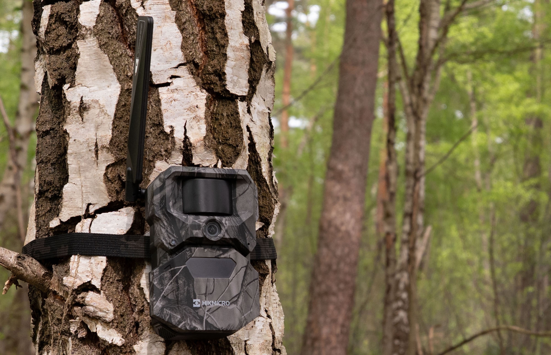 hikmicro: HIKMICRO T16 Trail Camera: Smarter wildlife monitoring for improved hunting 