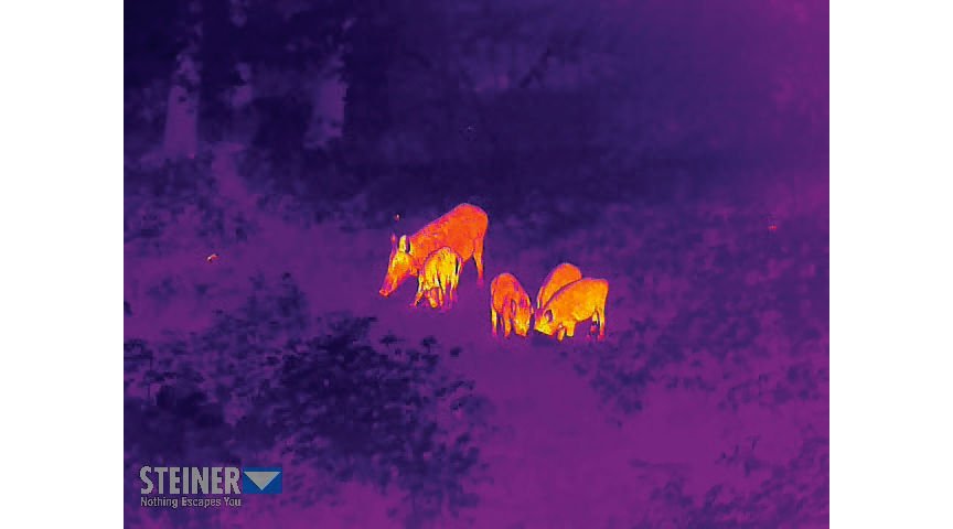 Test: new Steiner Nighthunter H35 – Steiner's first thermal imager in practical testing