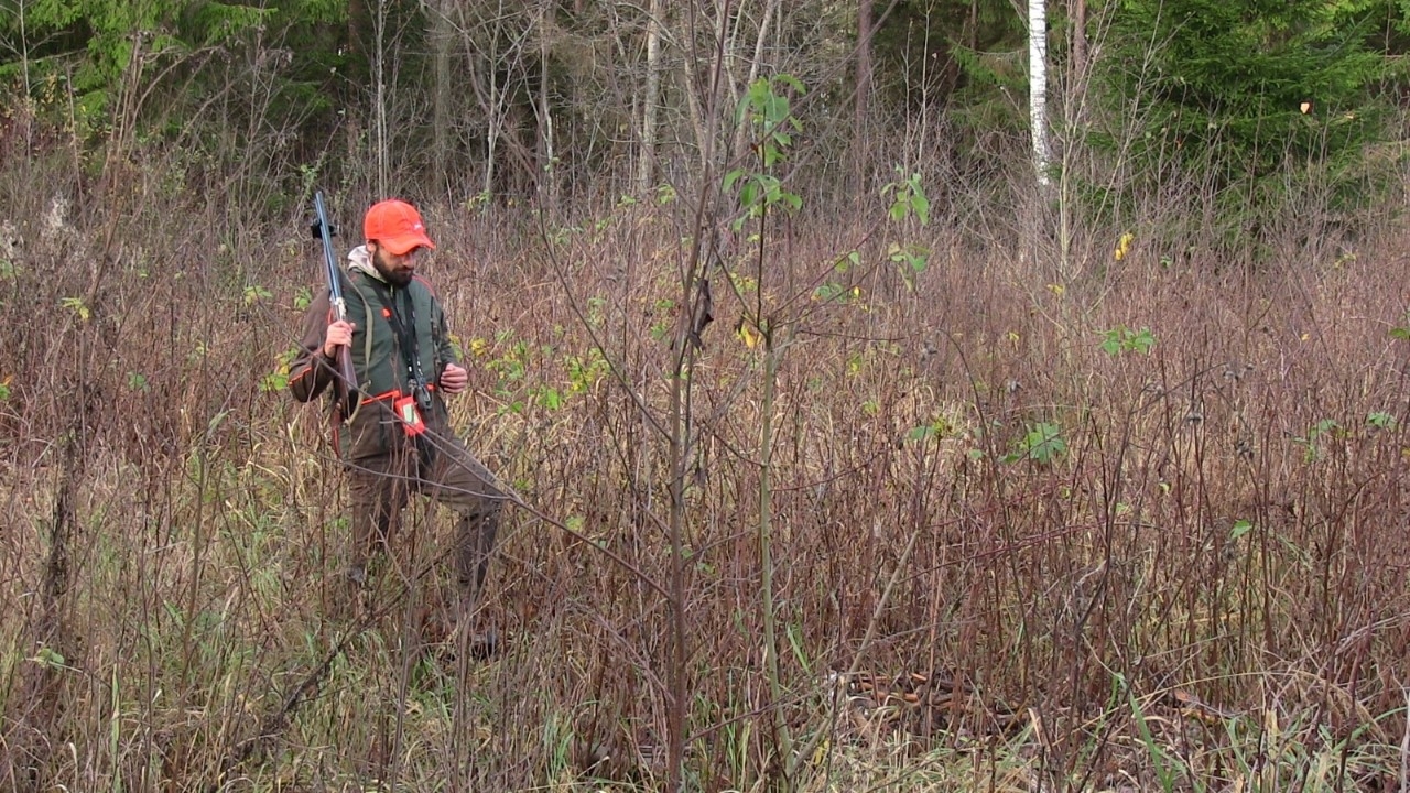 zamberlan: Zamberlan 970 Grouse GTX RR, sturdy boots for hunters