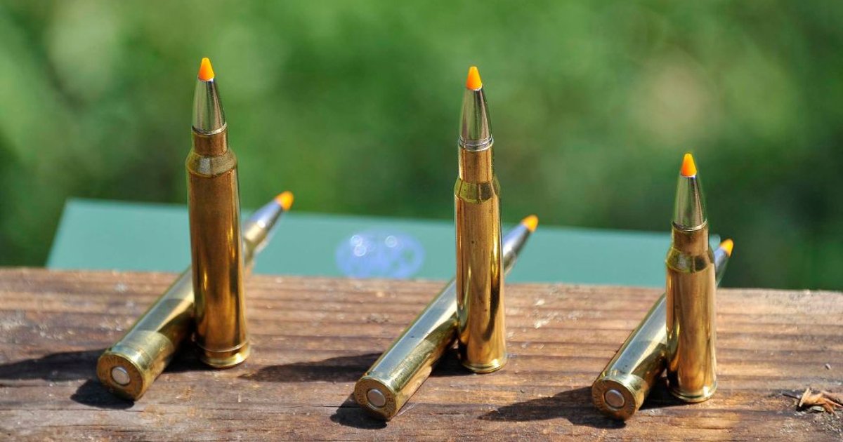 The 308 Winchester Cartridge Still A Worthwhile Option All4shooters