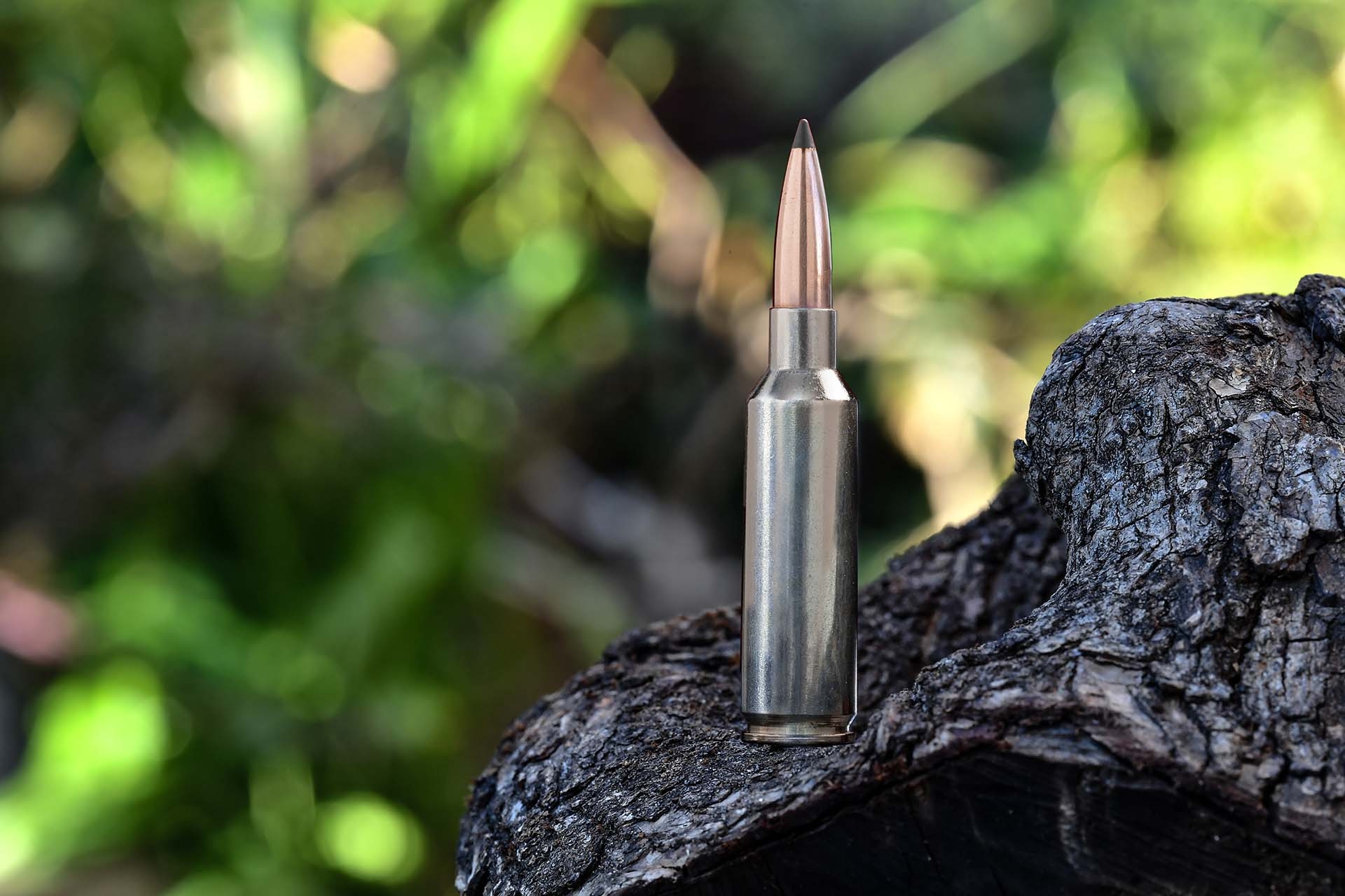 ammunition: 6.8 Western – A new long range rifle hunting caliber from Browning and Winchester!