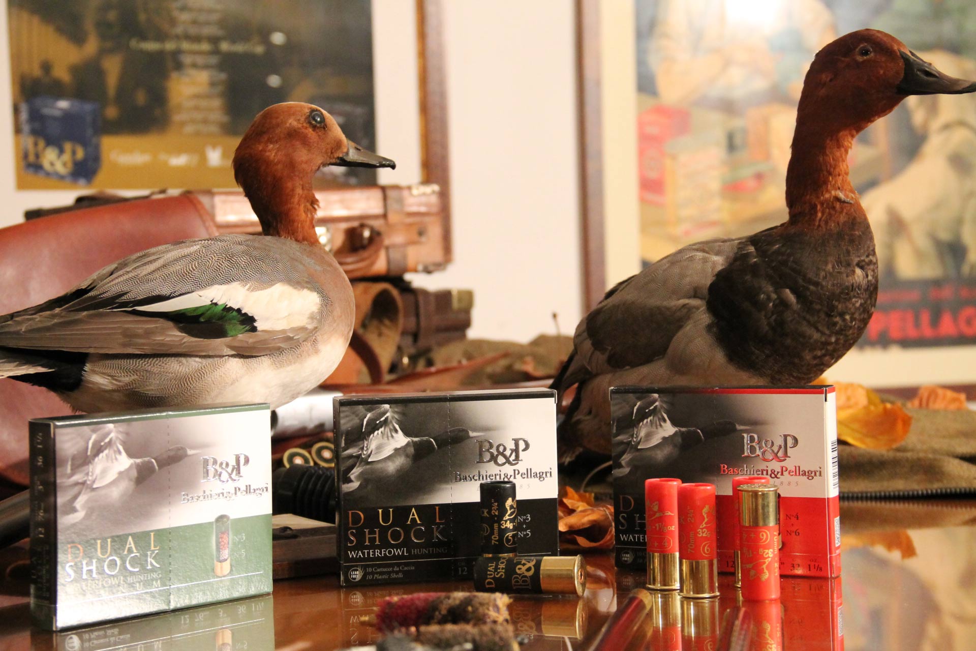 baschieri-pellagri: Hunting water fowl: Baschieri & Pellagri Dual Shock