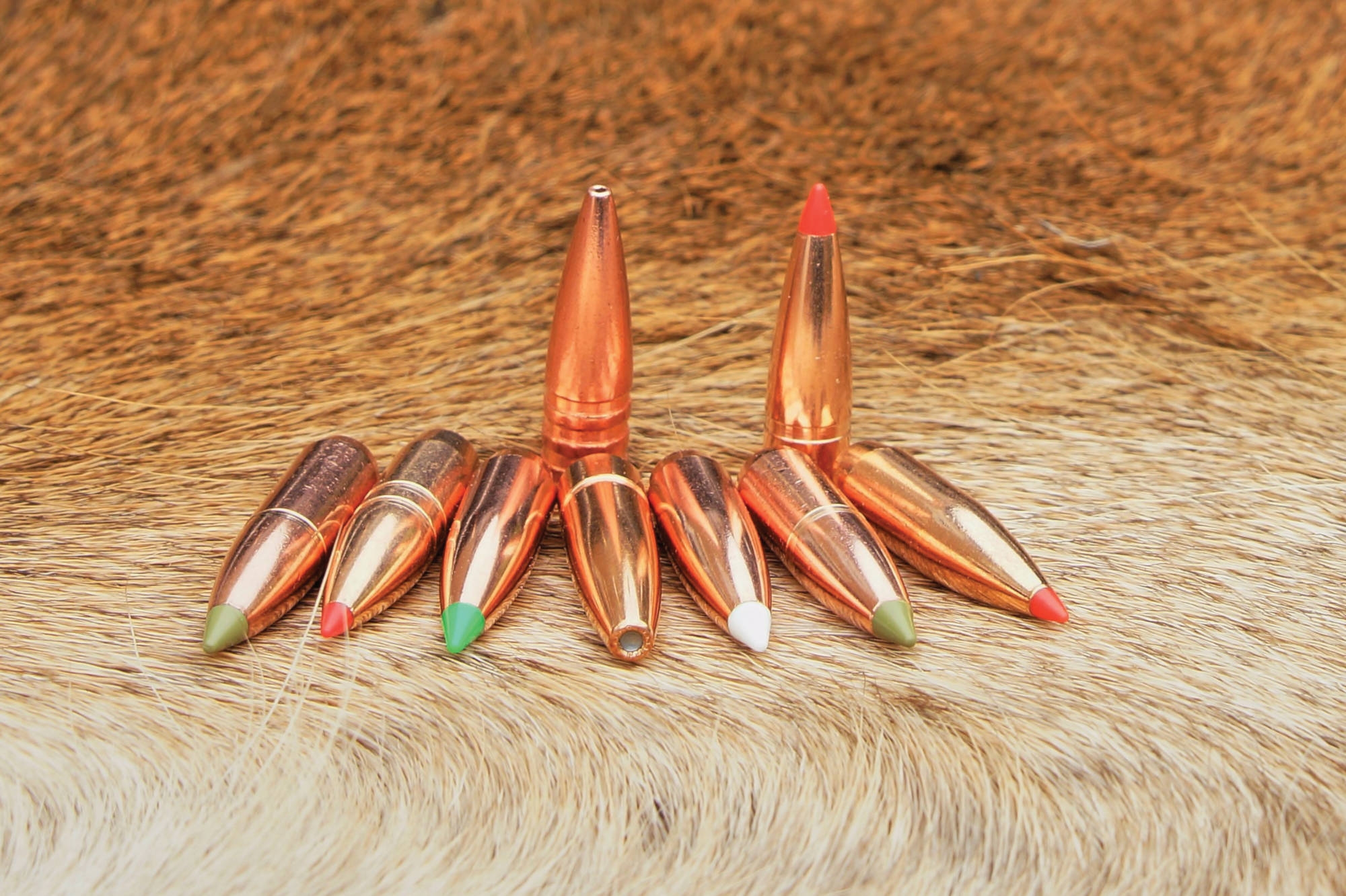 ammunition: ECHA: “Call for evidence” on possible restriction of lead in ammunition (shot shells, bullets and pellets) and fishing sinkers