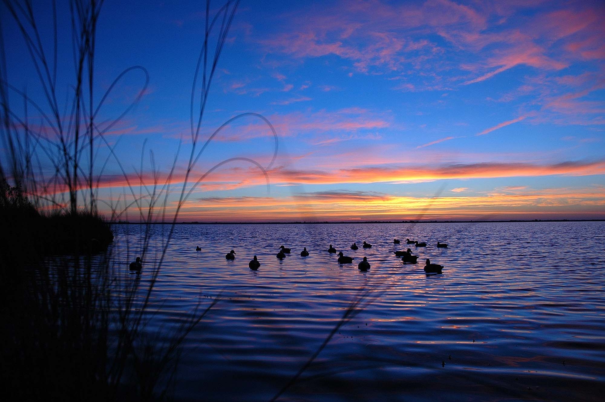 ammunition: +++UPDATE+++ EU lead ban, the battle is lost. Leadshot in wetlands will be history soon: the EU restriction is reality now