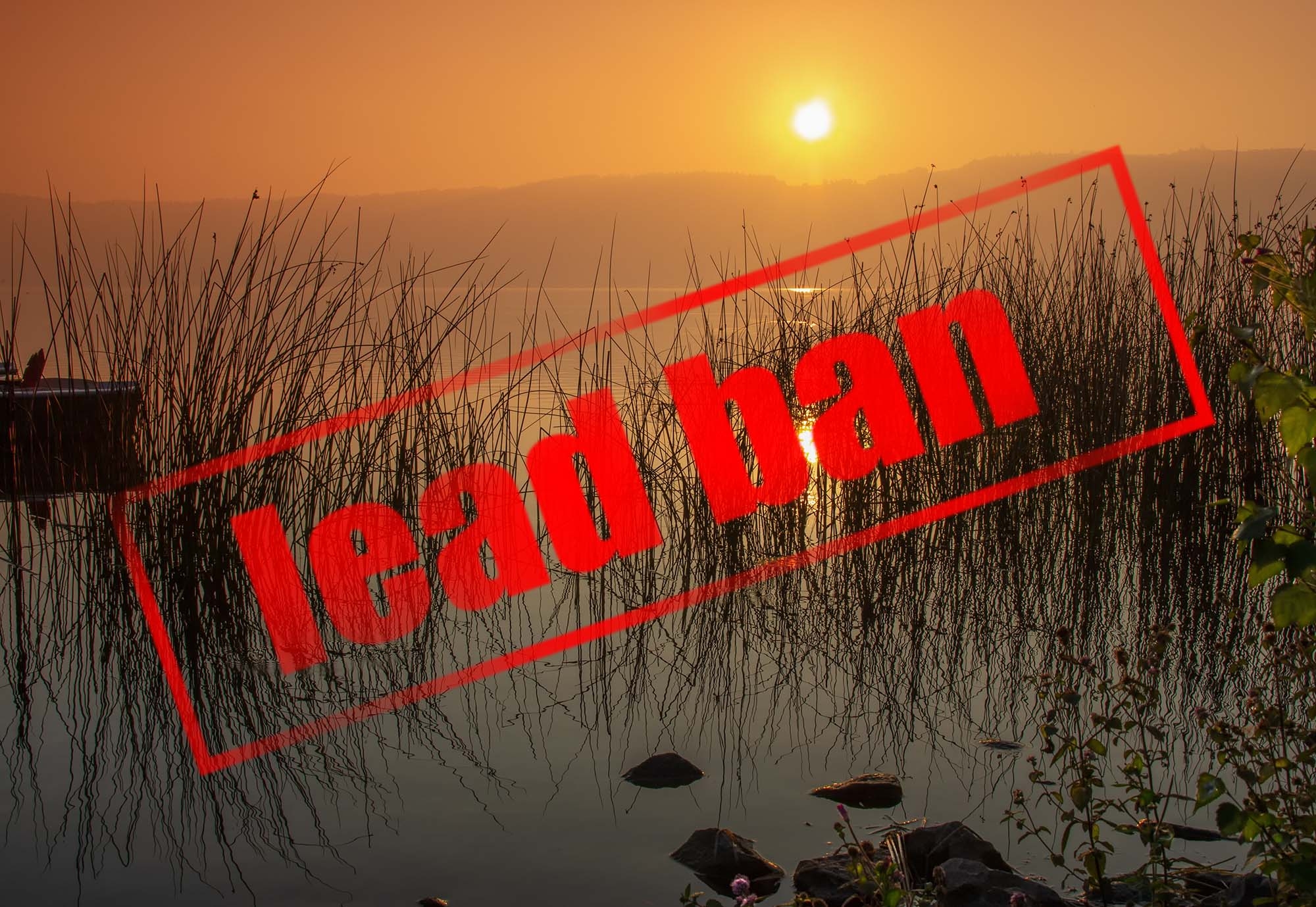 ammunition: Ban of lead in ammunition: No fair play from EU! FACE requests ECHA to re-open consultation regarding restriction procedure