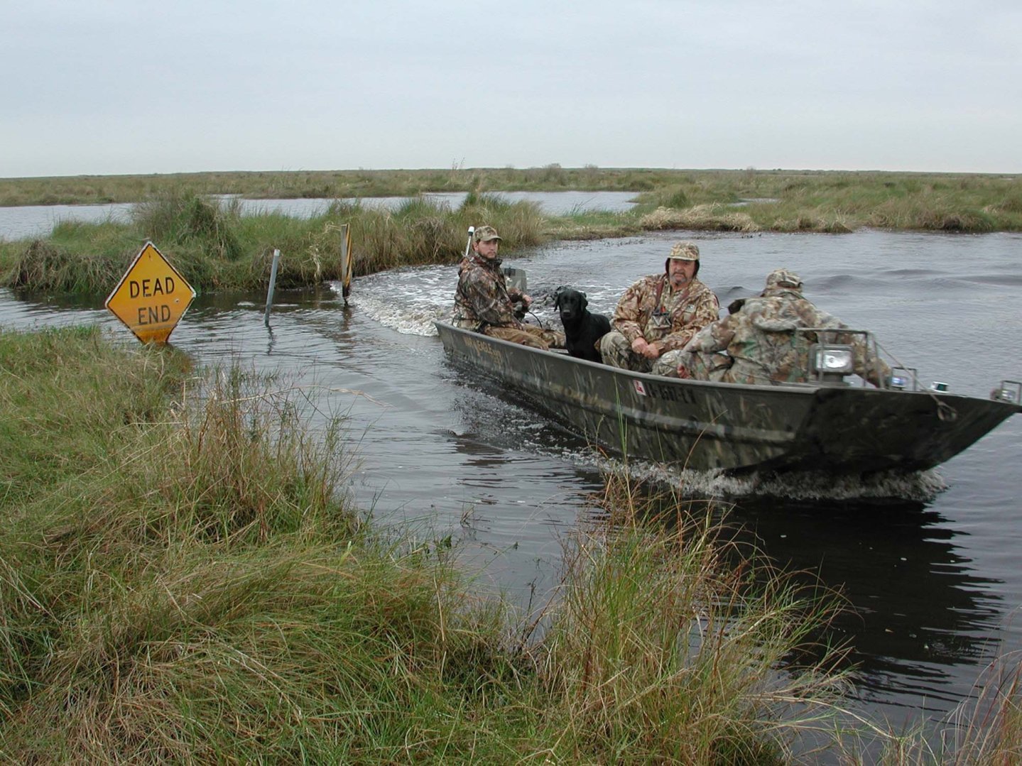 Lead Ban: complete the FACE survey 