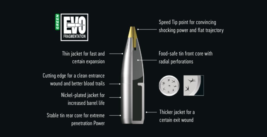 Structure of the RWS Evolution Green