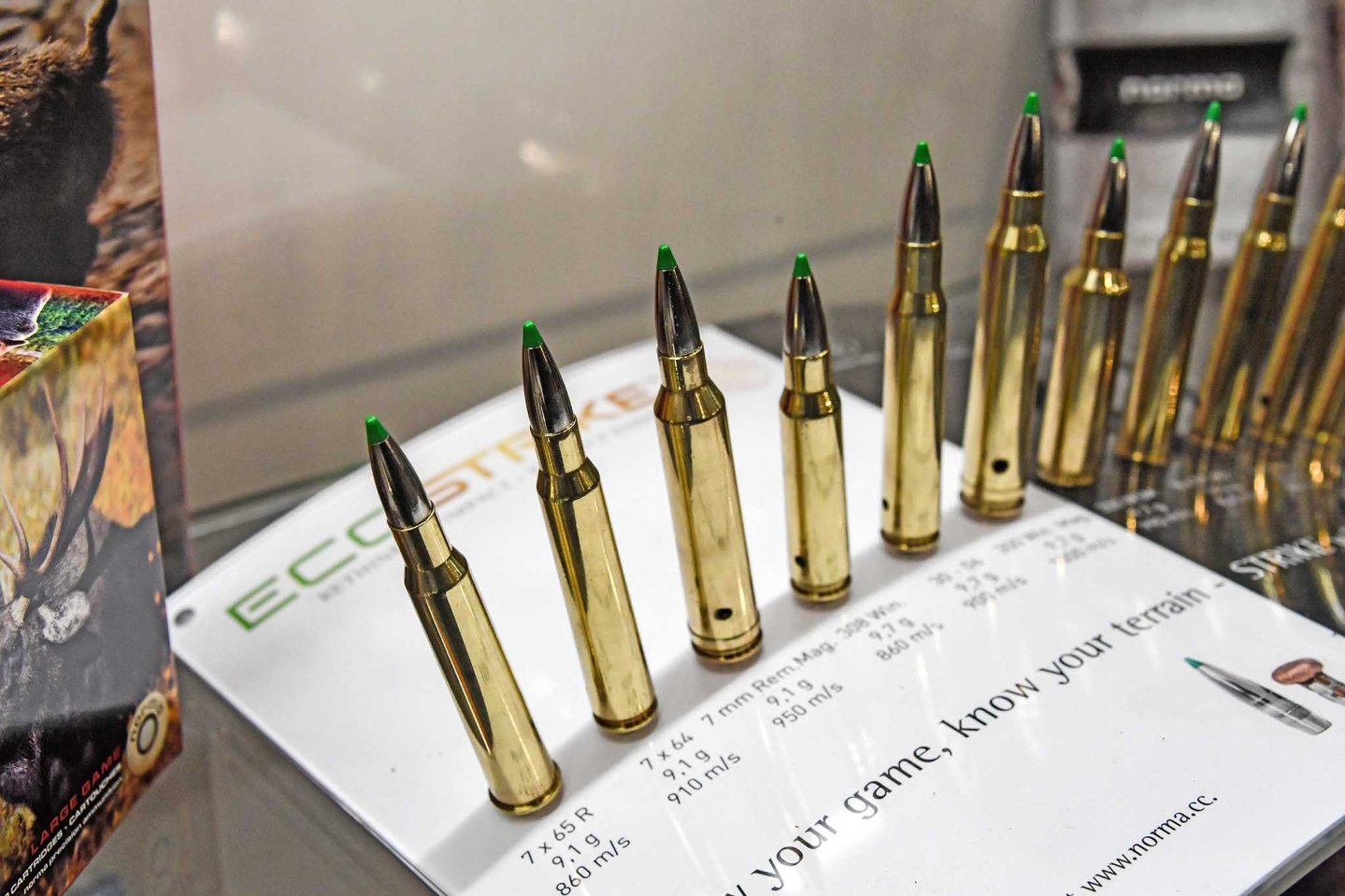 Hunting cartridges Norma Ecostrike.