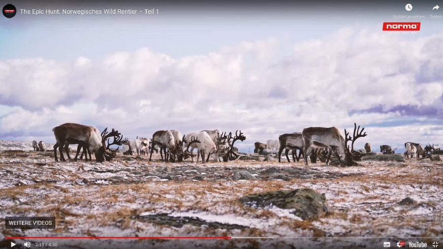 "The Epic Hunt" – From Norma, an unusual and exciting video series about reindeer hunting in Norway Szene aus Epic Hunt 1