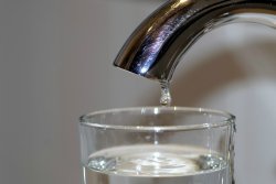 The truth about lead in ammunition: facts, scientific studies – all you should know to understand what consequences a ban of lead could have One week consumption of tap water respecting the lead limits defined by EU Authorities