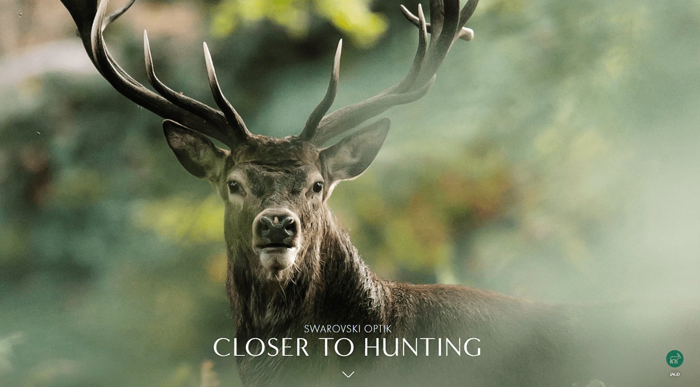 Swarovski Optik: a new Internet presence of the specialist for hunting optics, nature and birding Swarovski Optik: a new Internet presence of the specialist for hunting optics, nature and birding