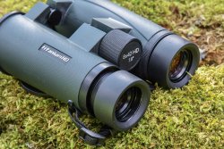 Delta Optical Titanium 8x56 and 8x42 HD: affordable binoculars Delta Optical 8x42 HD binoculars
