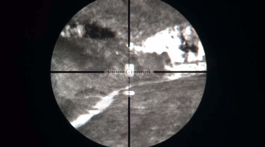 The view from the eyepiece of the daytime riflescope