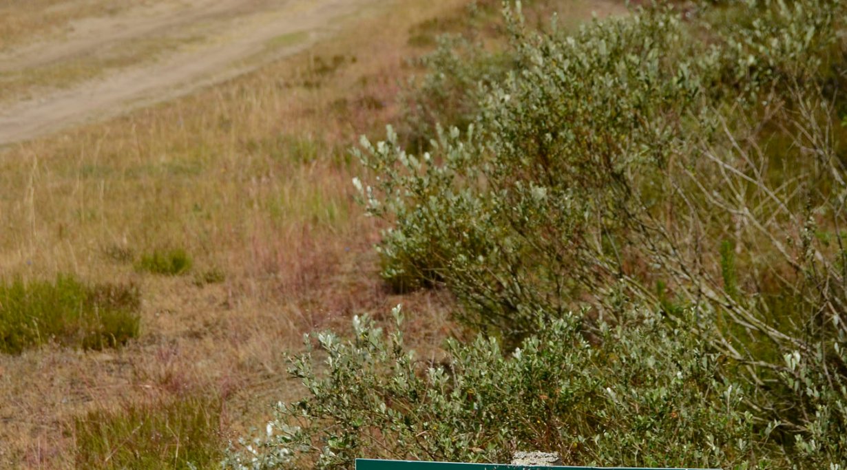 Zeiss Field Shooting Weekend