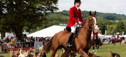 The Game Fair 2018: the Great British Countryside in all its glory The Horse and Country Ring at the Game Fair in UK