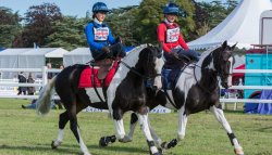 The Game Fair 2019, the “festival of the great British countryside” The Horse and Country Ring at the Game Fair in UK