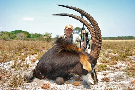 Mozambico buffalo hunting Mozambico buffalo hunting