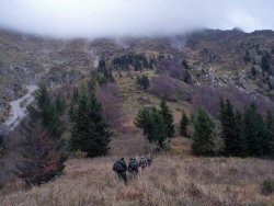 Covid-19 restrictions on hunting around the world – A practical guide Hunting in the mountains