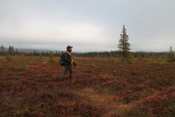 Covid-19 restrictions on hunting around the world – A practical guide Covid-19 restrictions on hunting around the world – A practical guide