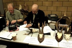 Deerstalking Fair 2018 in Scotland CIC head measuring at the Deerstalking fair.