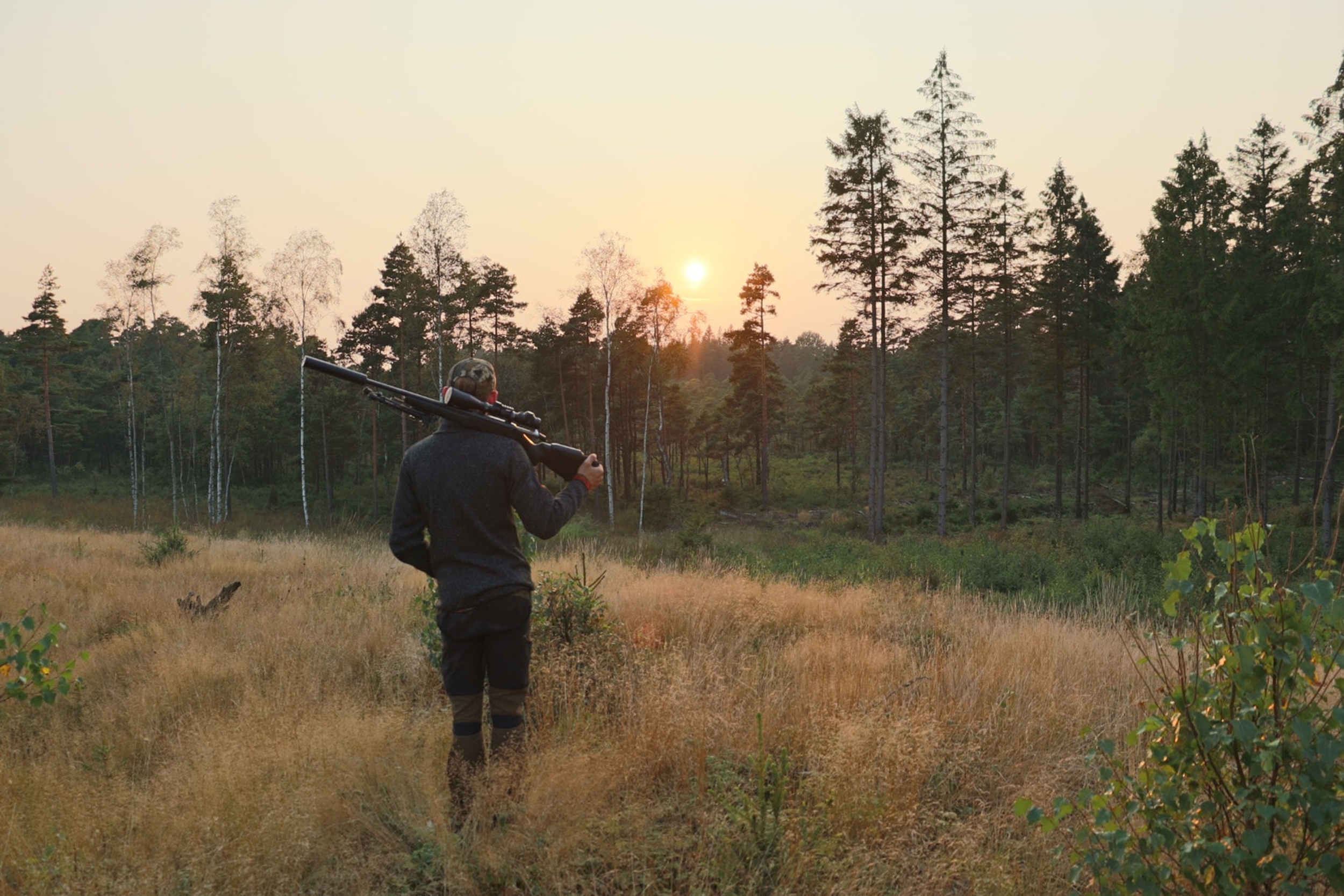 culture: Dream hunt: affordable hunting in Sweden