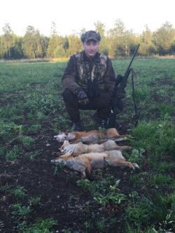 Dream Hunt: affordable hunting in Sweden Hunter with three foxes