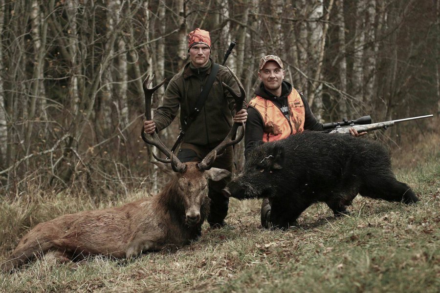 Dream Hunt: affordable hunting in Sweden Hunters on a successful hunt with red stag and wild boar