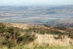 Driven and walked-up grouse shooting in Scotland A covey of grouse flying
