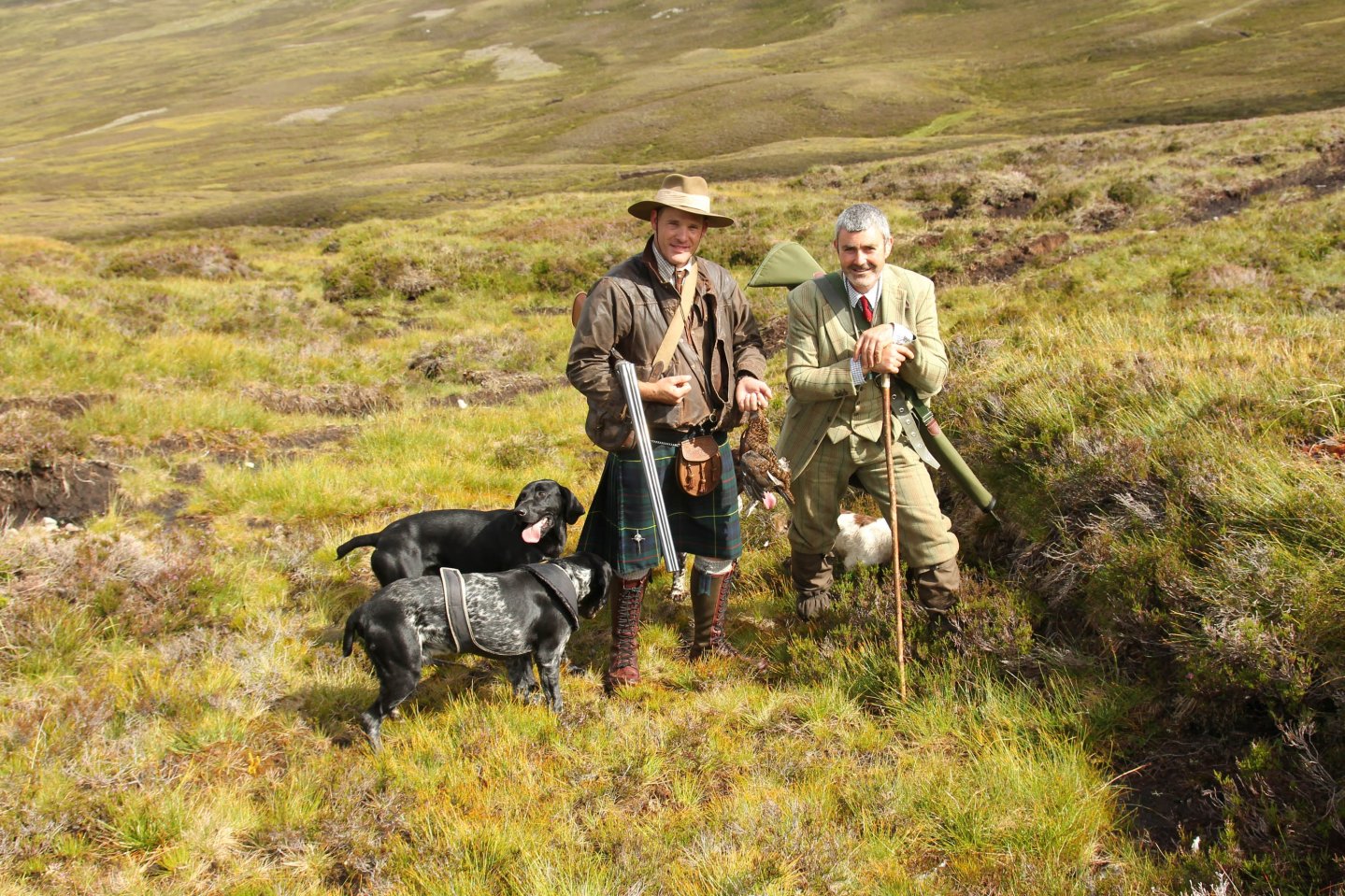 Driven and walked-up grouse shooting in Scotland Hunters with pointer dogs on a walked up grouse.