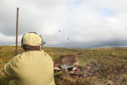 Driven and walked-up grouse shooting in Scotland Shooting driven grouse from a grouse butt
