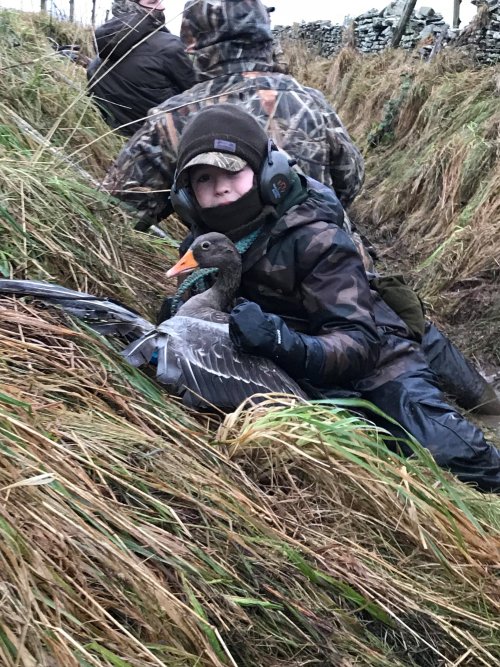 Goose shooting Orkney with Raymond Shearer all4shooters