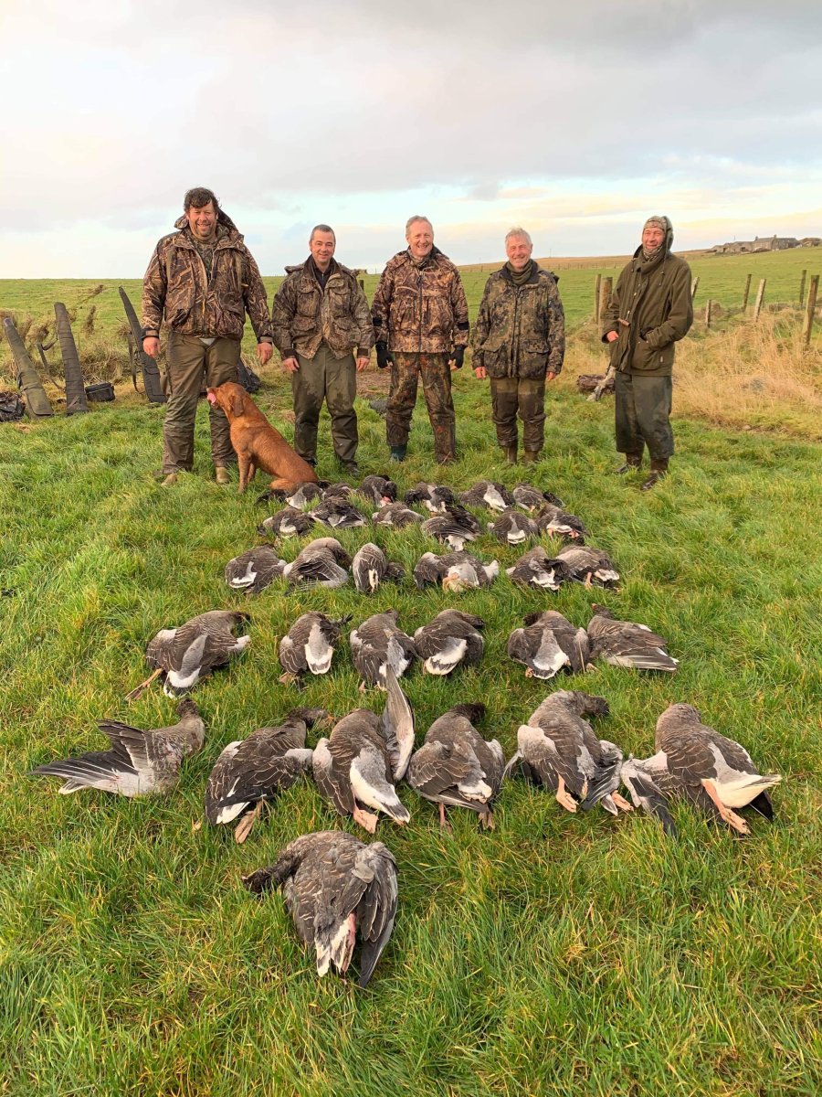 Goose shooting on Orkney Happy goose shooters after a morning on the geese