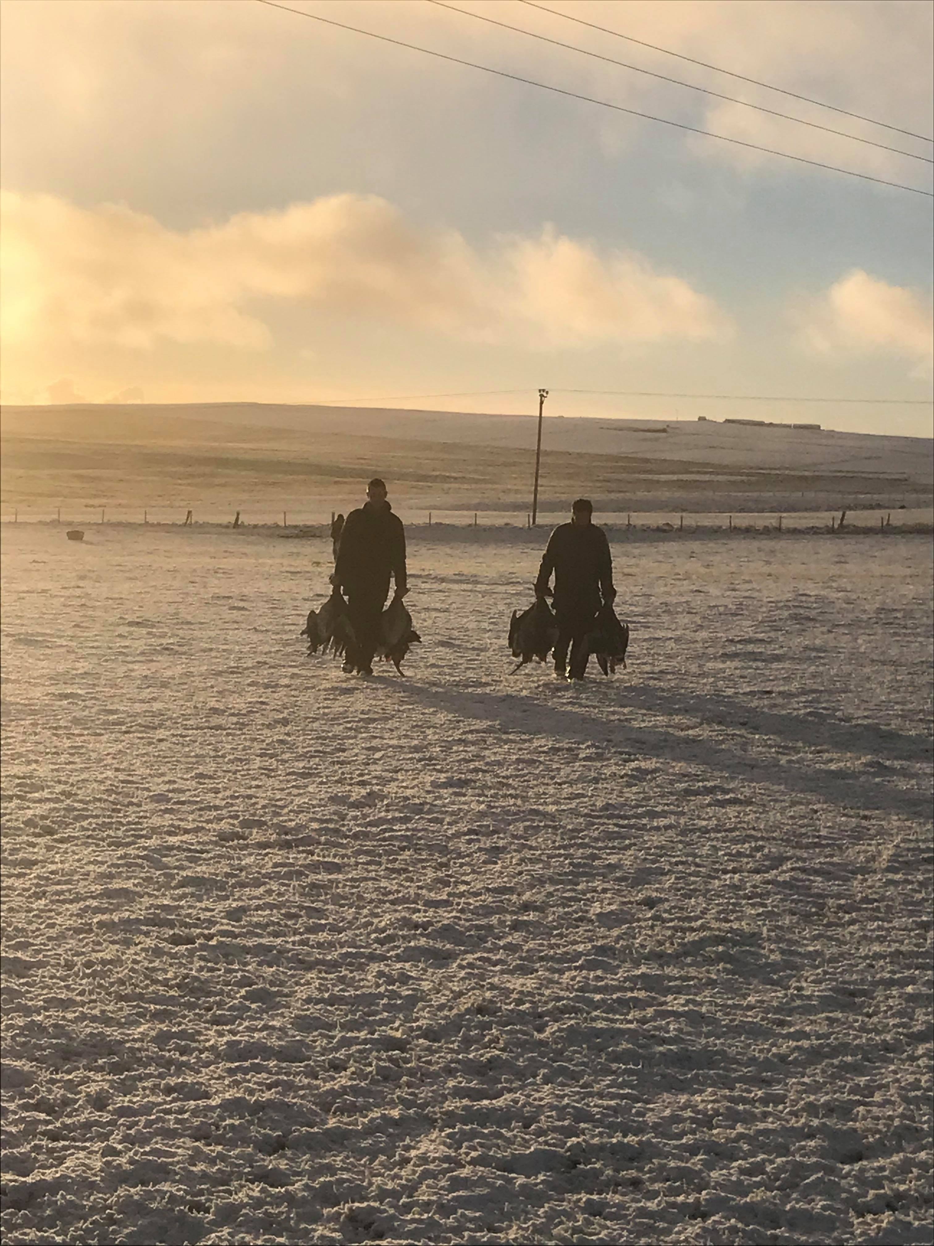 culture: Dream hunt: goose shooting on Orkney with Raymond Shearer