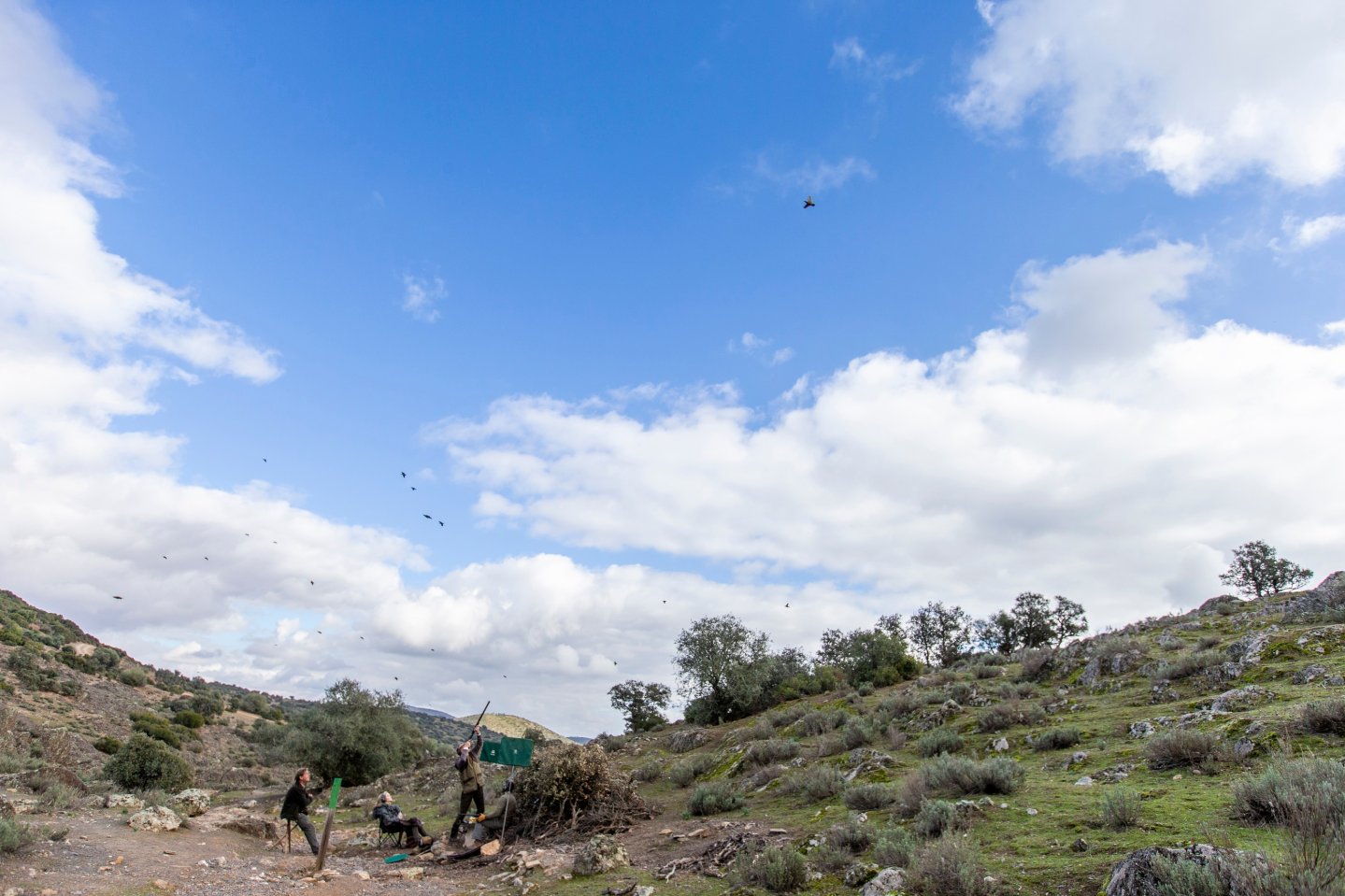 Dream Hunt: shooting high-flying driven partridge in Spain High driven-partridge in Spain