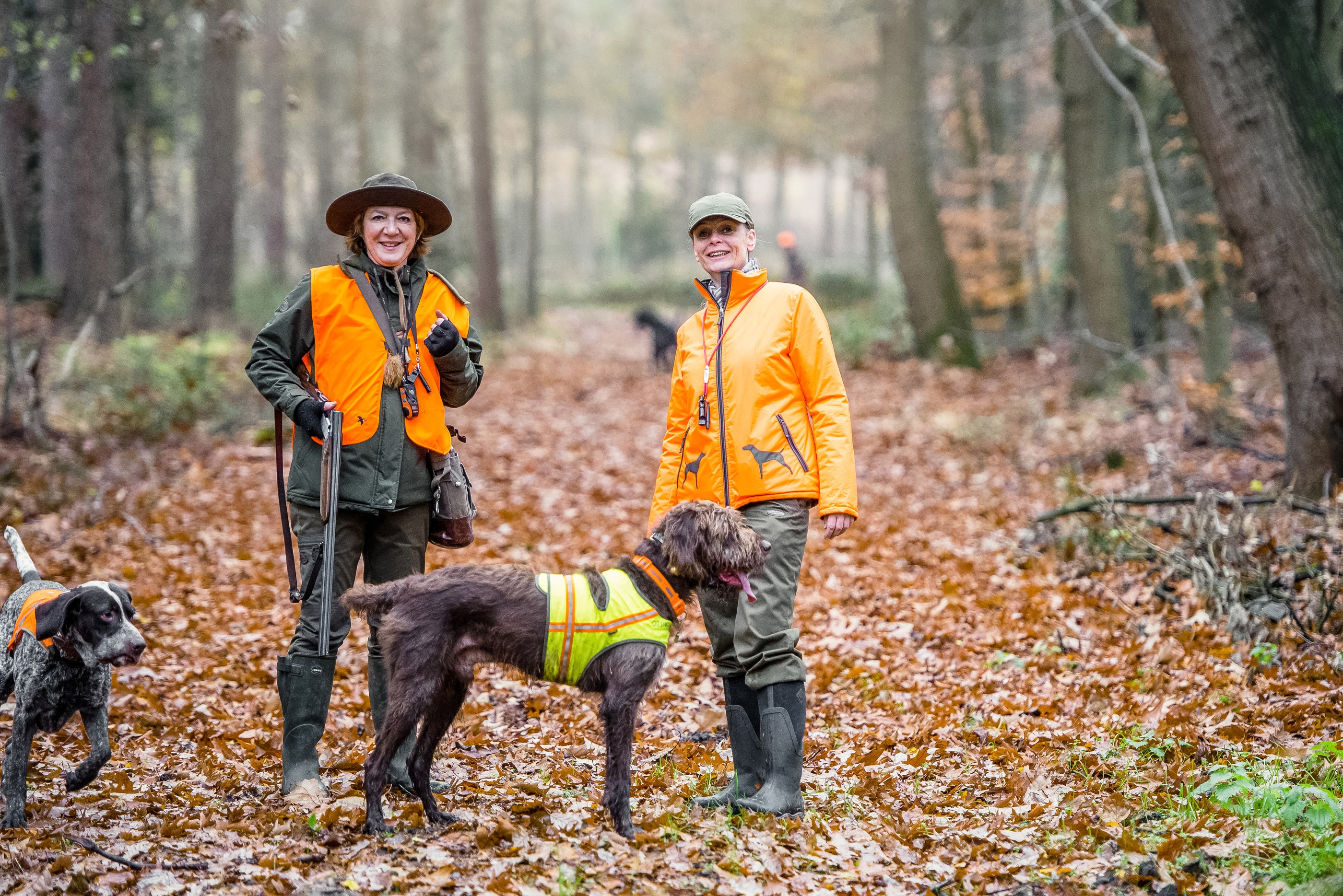 Dream hunt: hunting with pointers in the Netherlands
