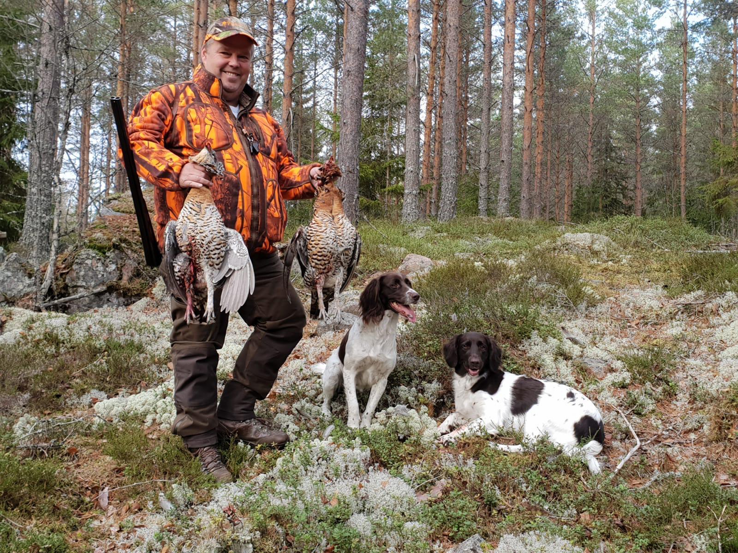 объекты охоты. сеттер ирландский и охота на вальдшнепа. охотничий туризм. современная охота. объекты охоты.