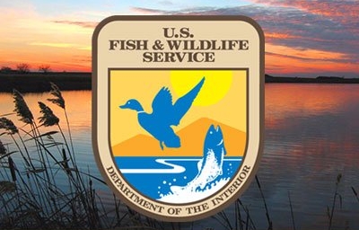 culture: “EU lead ban” in ammunition and fishing tackle: the case of the USA