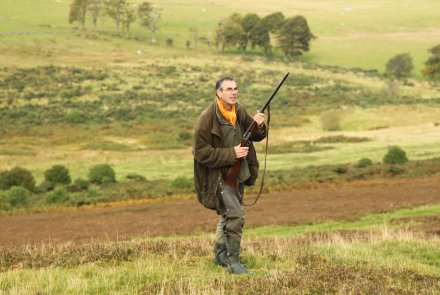 Ferreting for rabbits in Scotland Hunter ready to shoot during hunting rabbit
