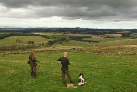 Ferreting for rabbits in Scotland Hunters waiting to shoot rabbits