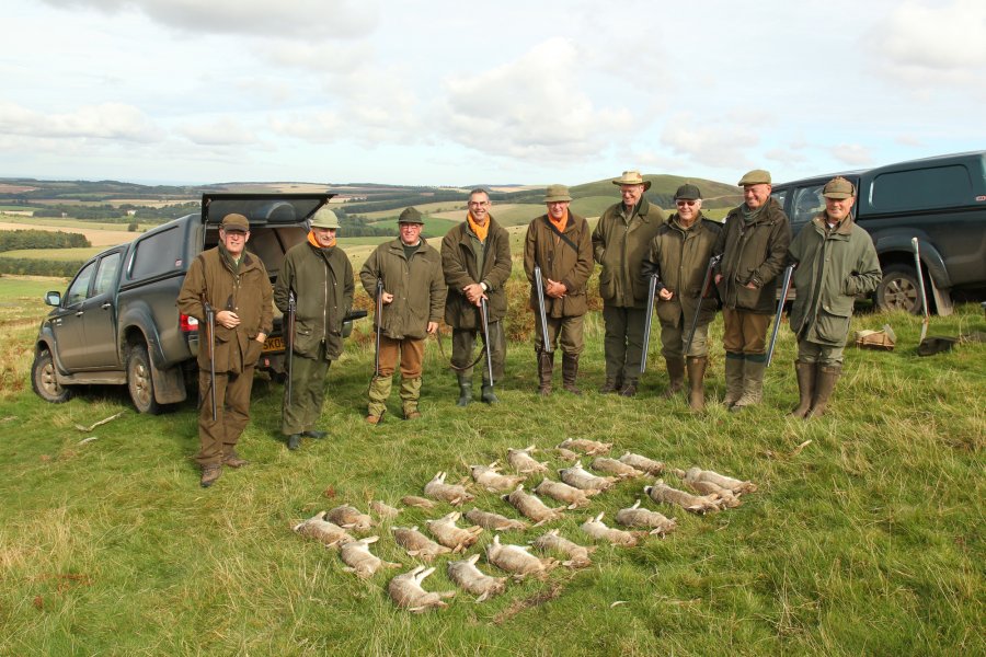 Ferreting for rabbits in Scotland Hunting rabbits: dead rabbits